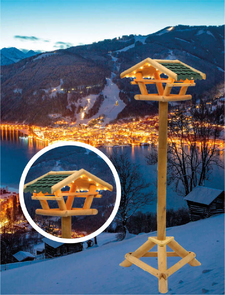 Vogelhaus Tirol mit Beleuchtung